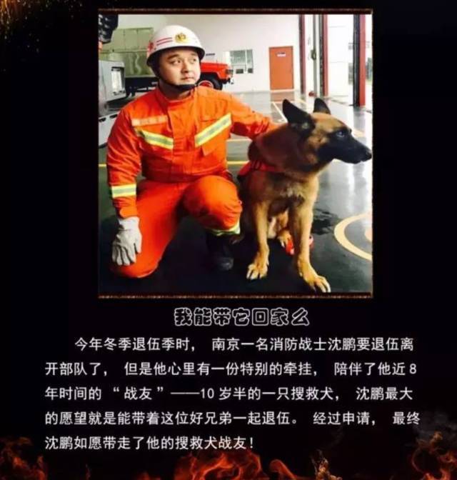 浴火重生的逆行者，肌肉越大責任越大，這才是真漢子——中國消防員(圖23)