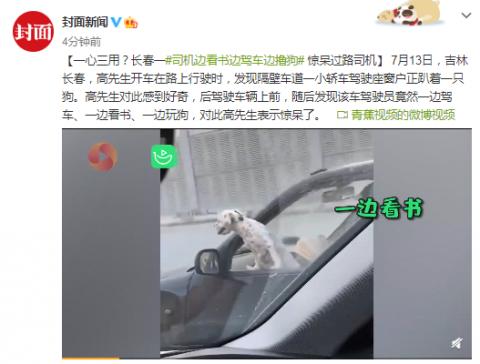 一心三用？司機邊看書邊駕車邊擼狗驚呆過路司機