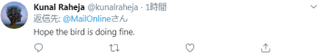 剛確診新冠一星期，巴西總統喂鴕鳥時又被咬了，網友卻希望“鳥沒事”(圖4)