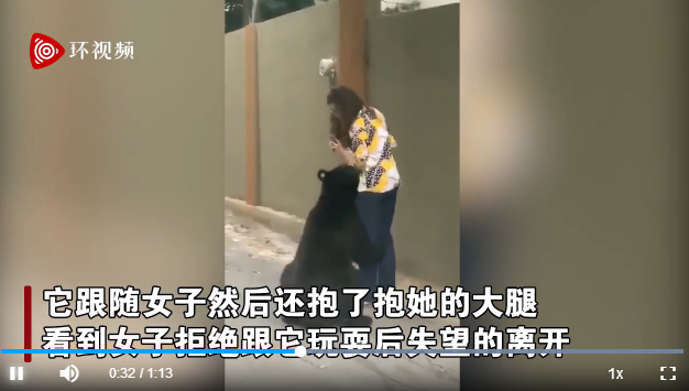 屢犯不改？墨西哥一只曾嗅女游客的黑熊又抱女子大腿 游客鎮定自拍