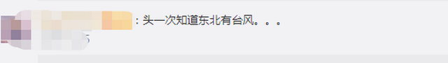 臺(tái)風(fēng)“美莎克”致吉林玉米大面積倒伏，像棉被一樣鋪在地上，減產(chǎn)已成定局(圖2)