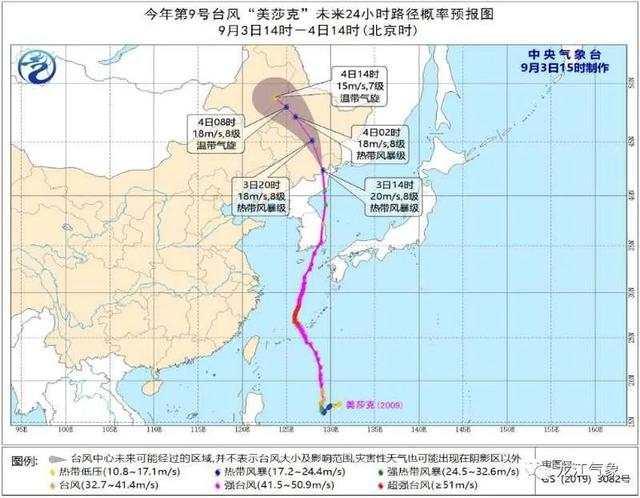 臺(tái)風(fēng)“美莎克”致吉林玉米大面積倒伏，像棉被一樣鋪在地上，減產(chǎn)已成定局(圖8)