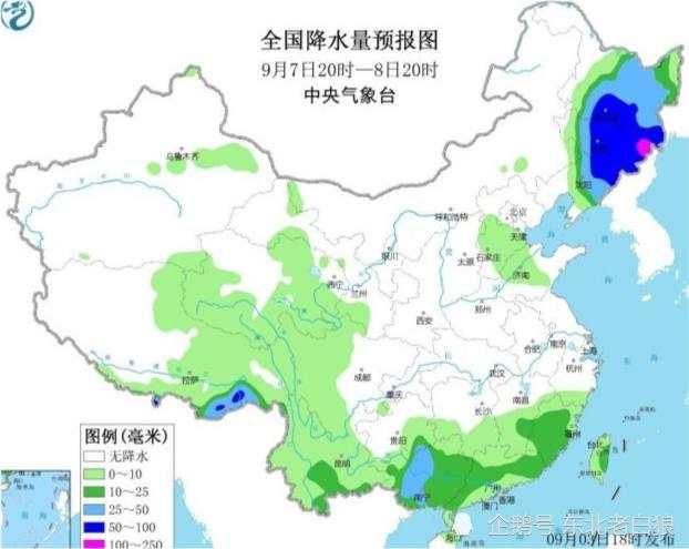 臺(tái)風(fēng)“美莎克”致吉林玉米大面積倒伏，像棉被一樣鋪在地上，減產(chǎn)已成定局(圖10)