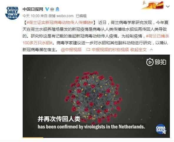首起！荷蘭證實(shí)新冠病毒動物傳人疫情鏈條：病毒從人類傳播給水貂后再傳回人類
